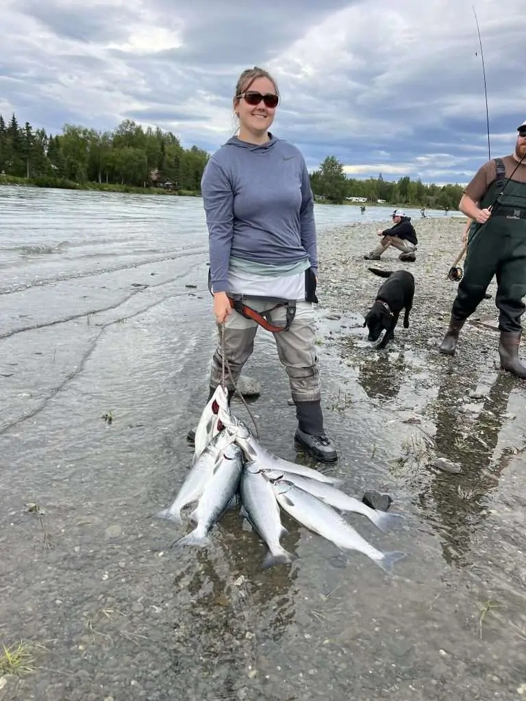 sockeye salmon